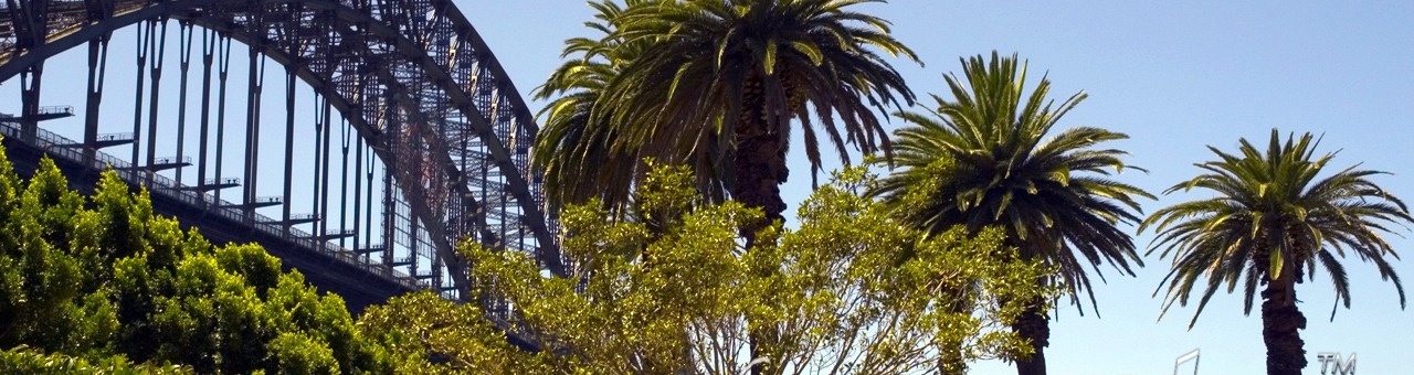 云呼手机号测压网页版